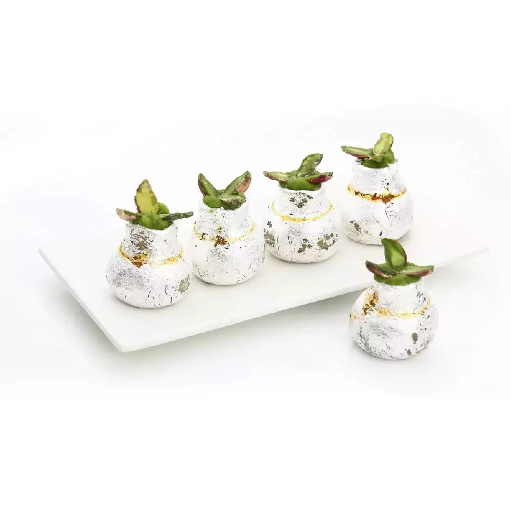 Dadu's - Kaju Pista Surai, 500 g-1.webp